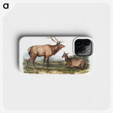 1-18_The-Viviparous-Quadrupeds_phone