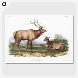 1-18_The-Viviparous-Quadrupeds_picture-crop