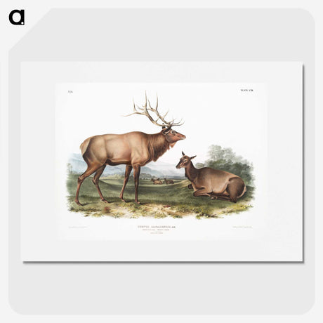 1-18_The-Viviparous-Quadrupeds_picture
