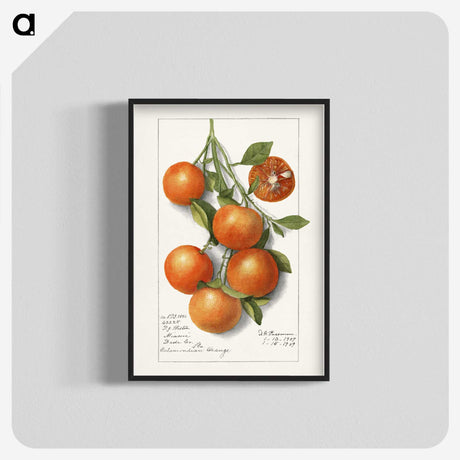 1-18_USDA-Watercolor-Fruit-Painting-Collection_blk-crop