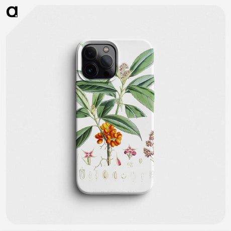 1-18_Walter-Hood-Fitch_phone