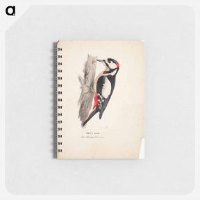 アートメモ帳-Great spotted woodpecker, male - ヴィルヘルム フォン ライト Memo.