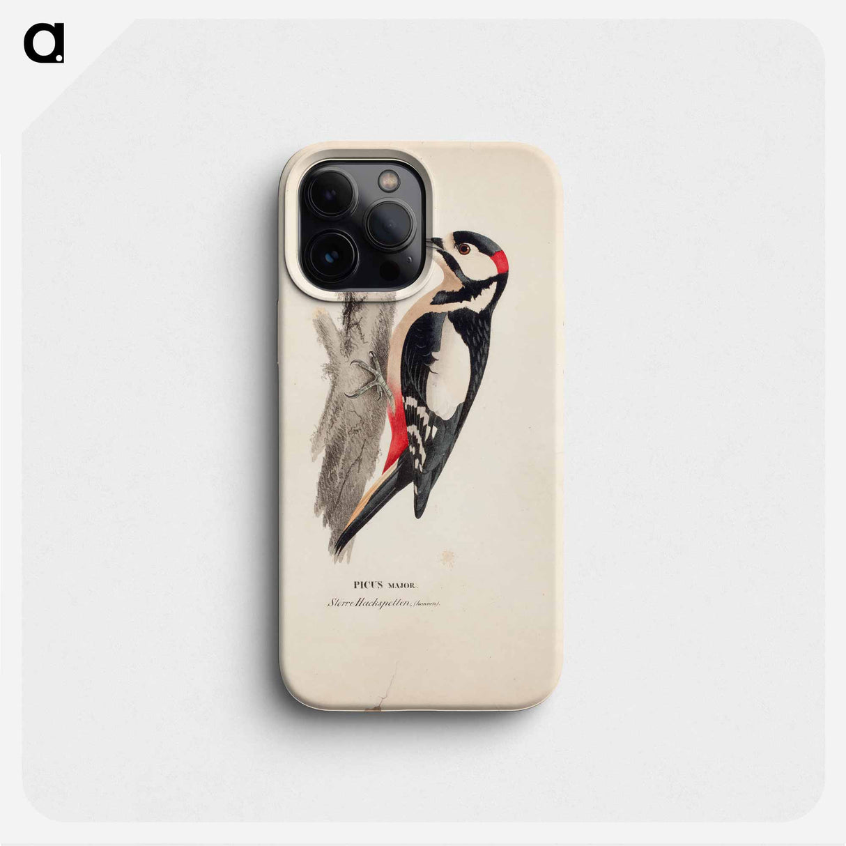 Great spotted woodpecker, male - Wilhelm von Wright Phone Case.