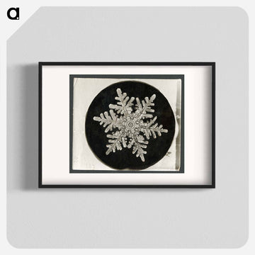 Wilson Bentley's Snowflake 1152 - ウィルソン ベントレー Poster.