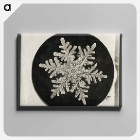 アートパネル-Wilson Bentley's Snowflake 1152 - ウィルソン ベントレー Canvas.