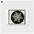 アートポストカード-Wilson Bentley's Snowflake 1152 - ウィルソン ベントレー Postcard.