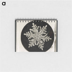 アートメモ帳-Wilson Bentley's Snowflake 1152 - ウィルソン ベントレー Memo.