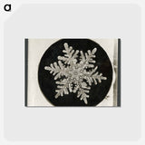 アートポストカード-Wilson Bentley's Snowflake 1152 - ウィルソン ベントレー Postcard.