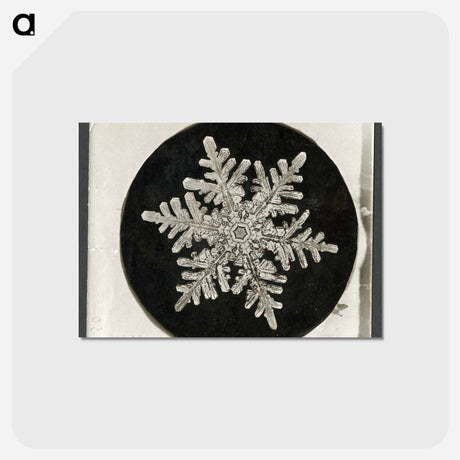アートポストカード-Wilson Bentley's Snowflake 1152 - ウィルソン ベントレー Postcard.