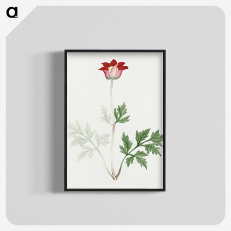 1-19_19th-Century-Japanese-Flowers_blk-crop