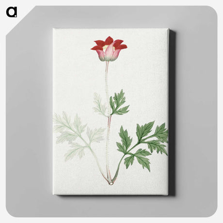 1-19_19th-Century-Japanese-Flowers_canvas
