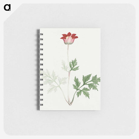 1-19_19th-Century-Japanese-Flowers_memo