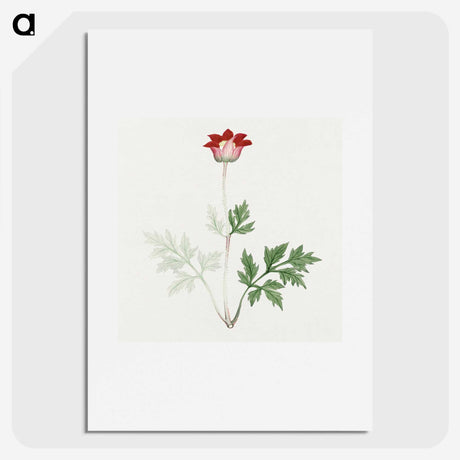 1-19_19th-Century-Japanese-Flowers_picture