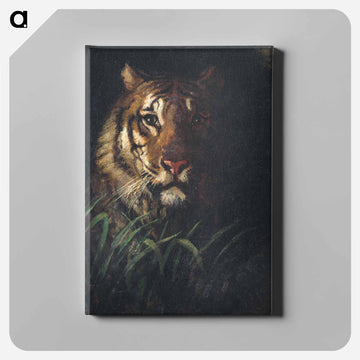 Tiger's Head - アボット ハンダーソン セイヤー Canvas.