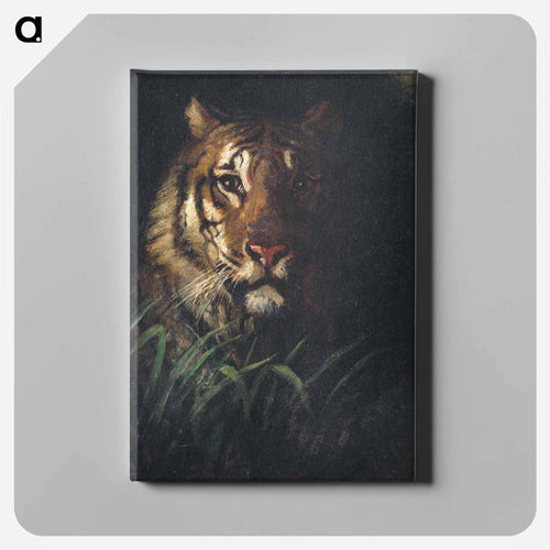 Tiger's Head - アボット ハンダーソン セイヤー Canvas.