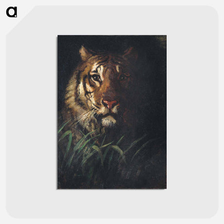 アートポストカード-Tiger's Head - アボット ハンダーソン セイヤー Postcard.