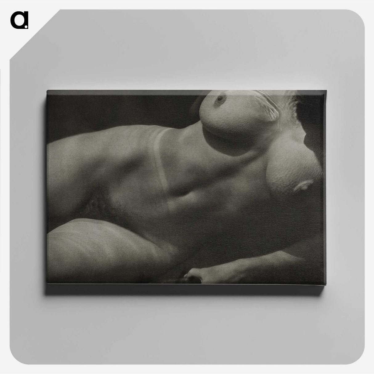 1-19_Alfred-Stieglitz_canvas