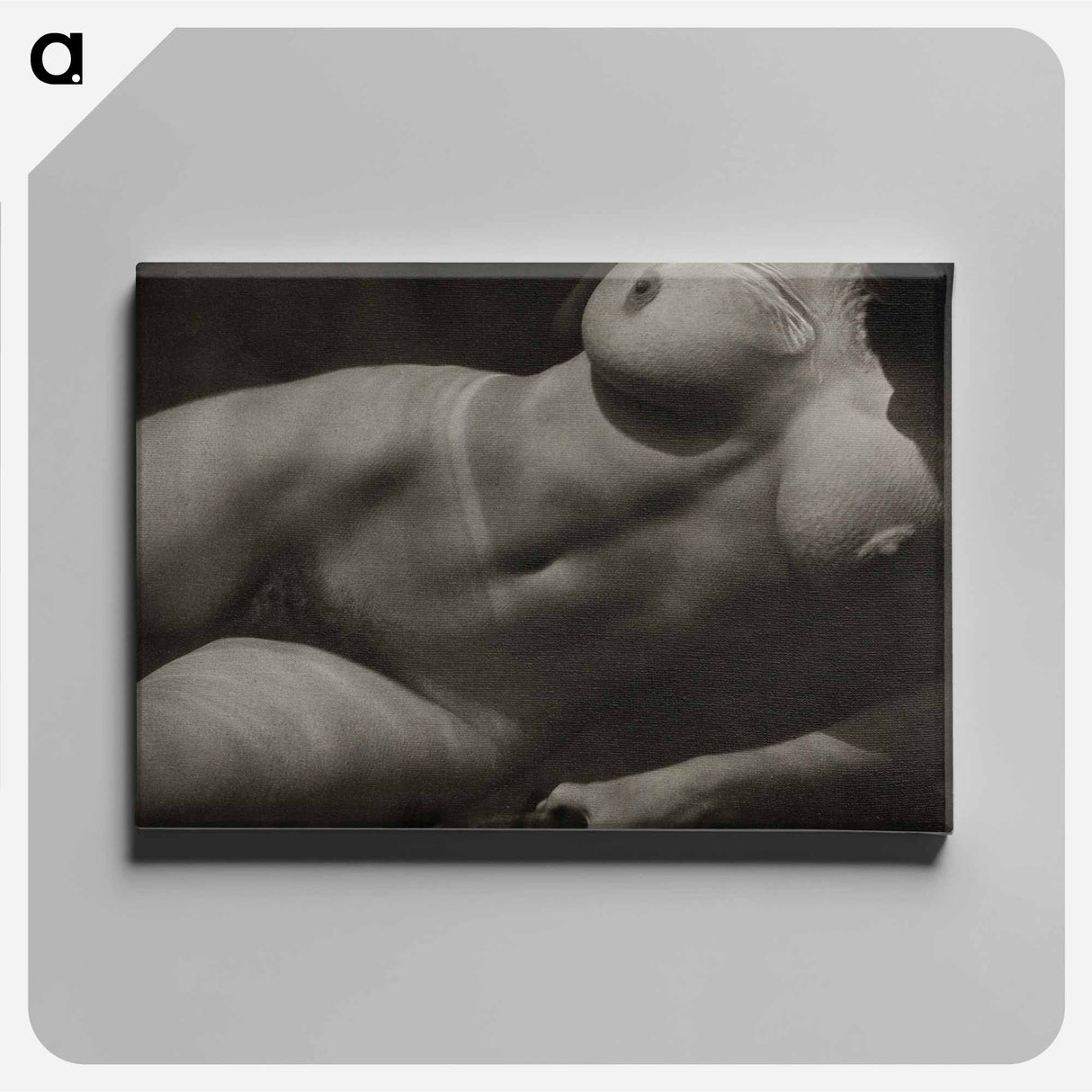 Rebecca Salsbury Strand - アルフレッド スティーグリッツ Canvas.