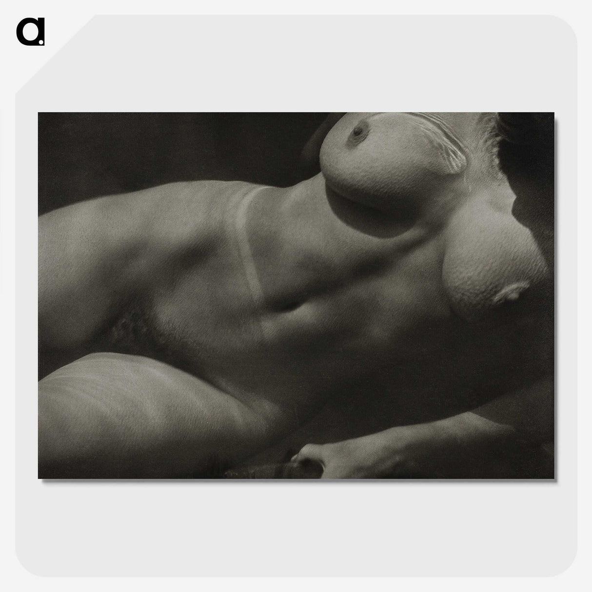 1-19_Alfred-Stieglitz_picture-crop