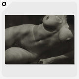 1-19_Alfred-Stieglitz_picture-crop