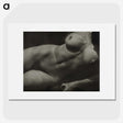 1-19_Alfred-Stieglitz_picture