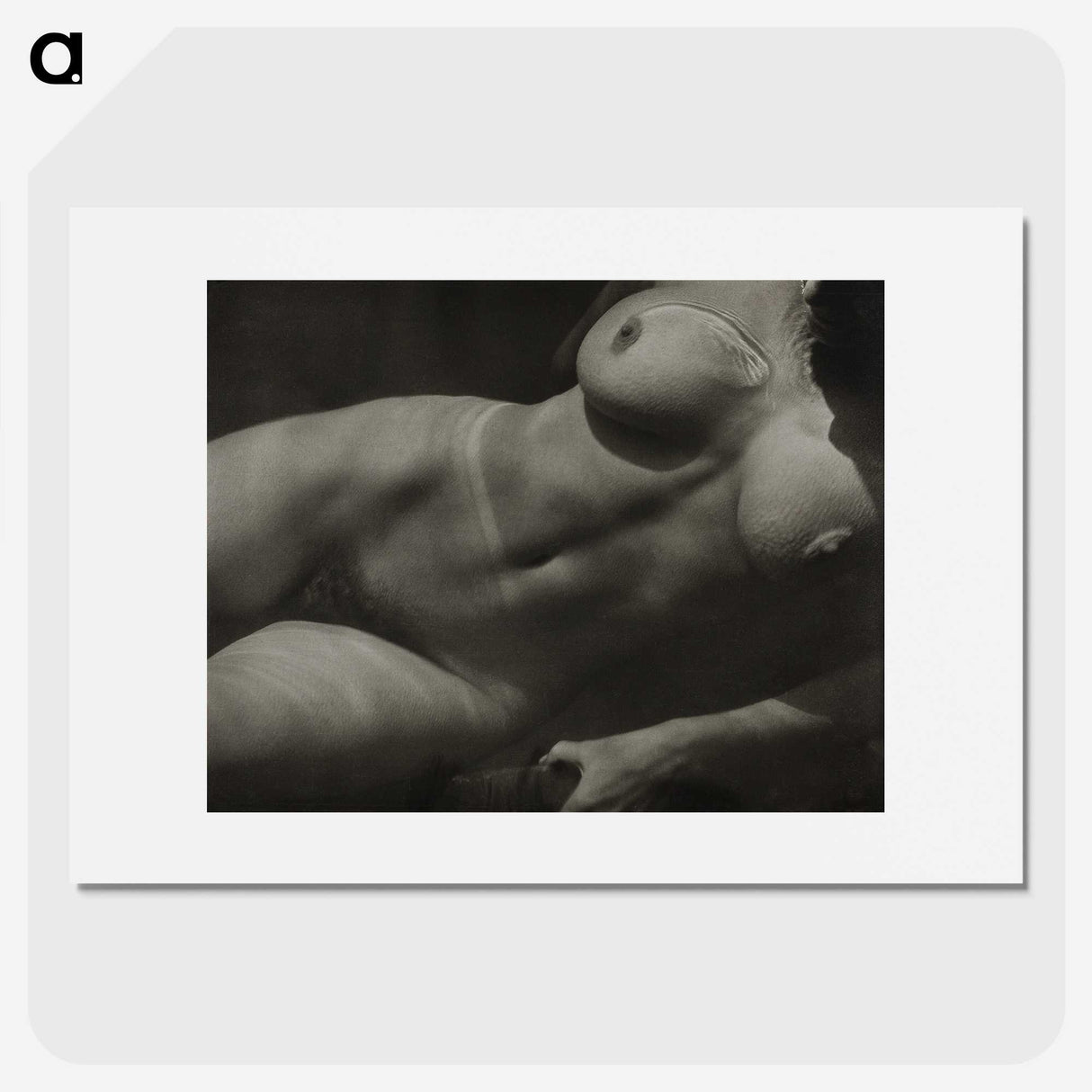 1-19_Alfred-Stieglitz_picture