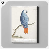 1-19_Anselmus-Boetius-de-Boodt_canvas