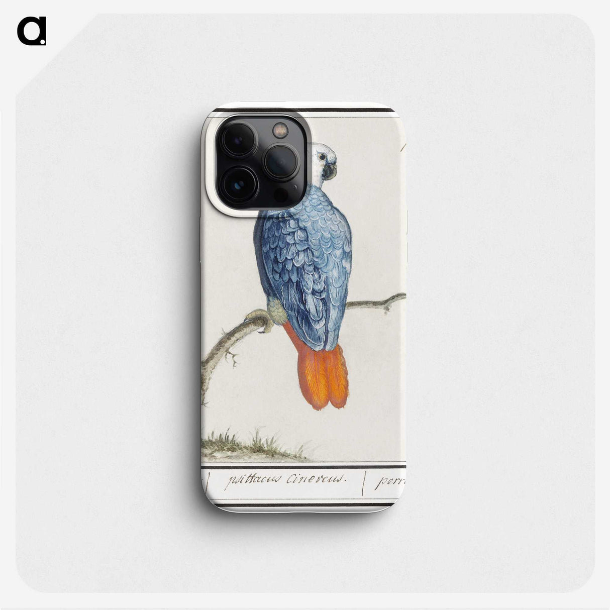 1-19_Anselmus-Boetius-de-Boodt_phone