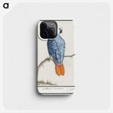 1-19_Anselmus-Boetius-de-Boodt_phone