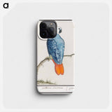 Gray red-tailed parrot - アンセルムス ボエティウス デ ブート Phone Case.