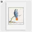1-19_Anselmus-Boetius-de-Boodt_picture