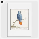 1-19_Anselmus-Boetius-de-Boodt_picture
