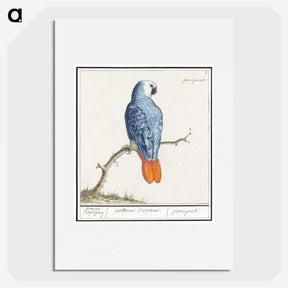 1-19_Anselmus-Boetius-de-Boodt_picture