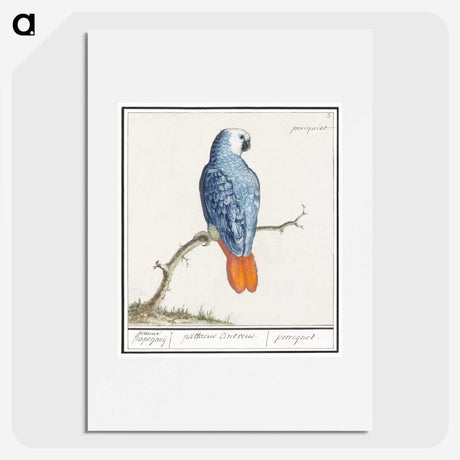 1-19_Anselmus-Boetius-de-Boodt_picture
