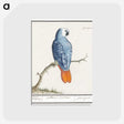 1-19_Anselmus-Boetius-de-Boodt_postcard