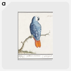 1-19_Anselmus-Boetius-de-Boodt_postcard