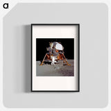 Astronaut Edwin E Aldrin Jr, Lunar Module (LM) pilot descends from the LM - アポロ月面着陸 Poster.