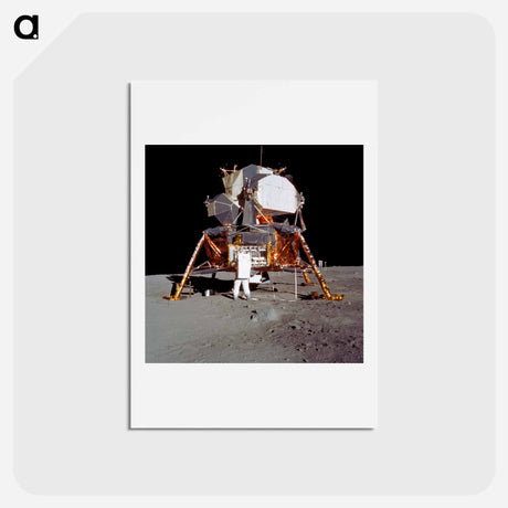 アートポストカード-Astronaut Edwin E Aldrin Jr, Lunar Module (LM) pilot descends from the LM - アポロ月面着陸 Postcard.