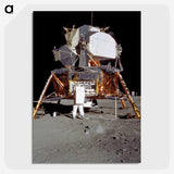 1-19_Apollo-Moon-Landing_picture-crop