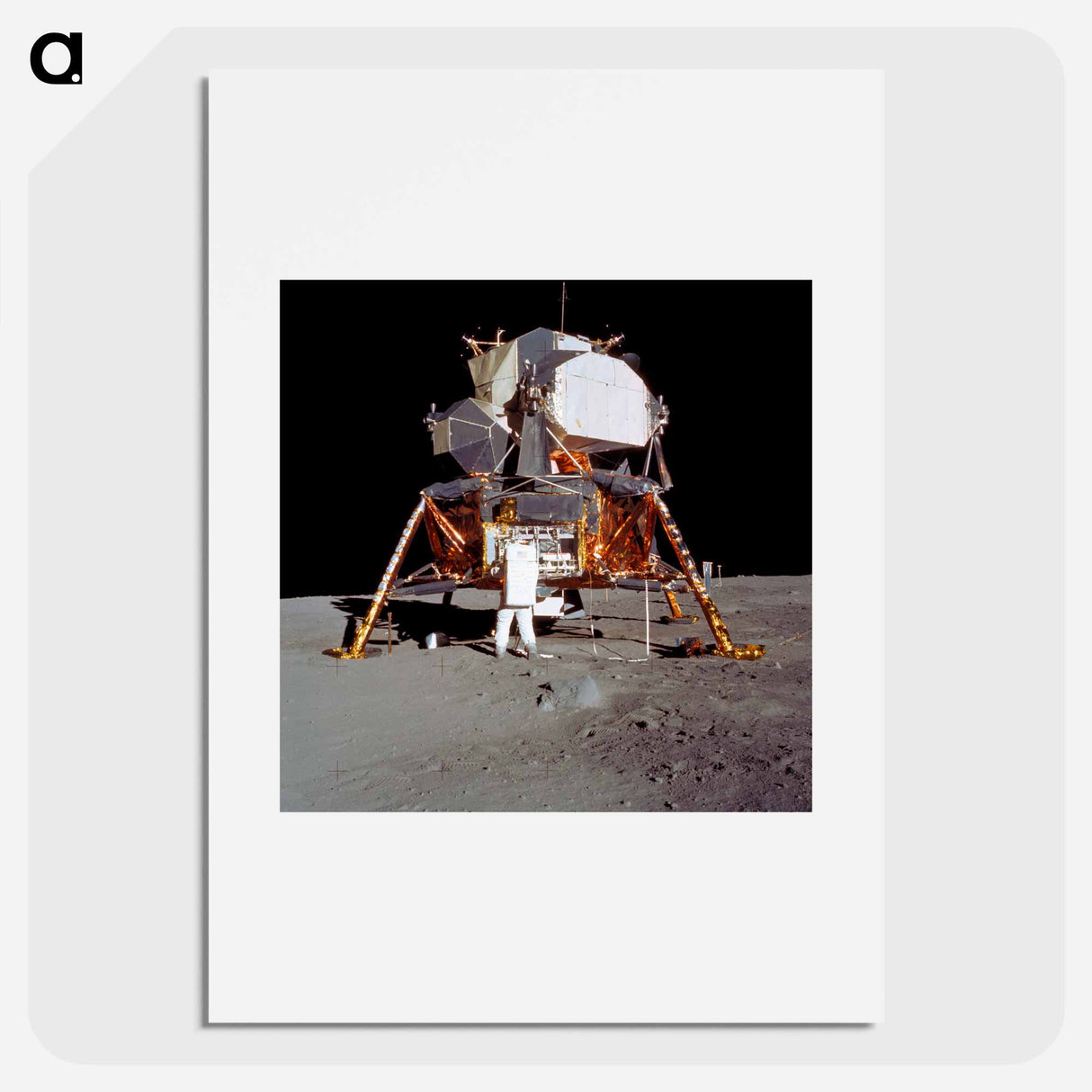 Astronaut Edwin E Aldrin Jr, Lunar Module (LM) pilot descends from the LM - アポロ月面着陸 Poster.