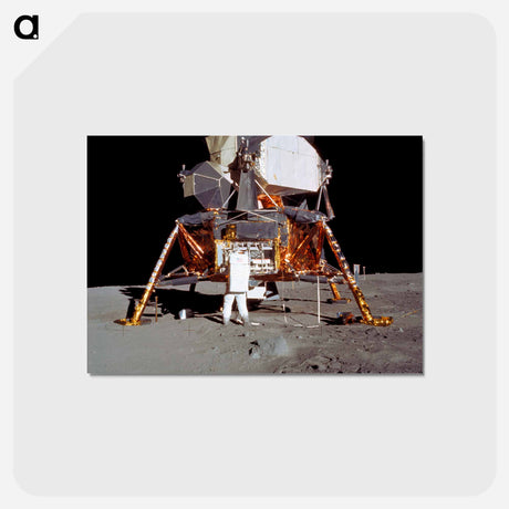 アートポストカード-Astronaut Edwin E Aldrin Jr, Lunar Module (LM) pilot descends from the LM - アポロ月面着陸 Postcard.