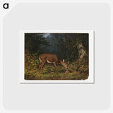 1-19_Arthur-Fitzwilliam-Tait_hagaki