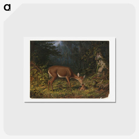 1-19_Arthur-Fitzwilliam-Tait_hagaki