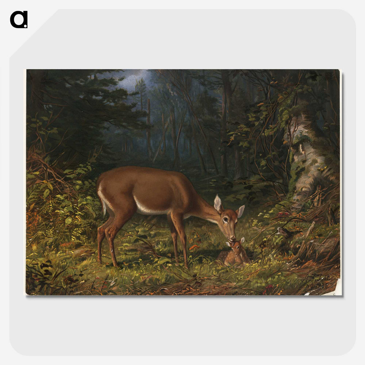 1-19_Arthur-Fitzwilliam-Tait_picture-crop