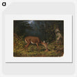 1-19_Arthur-Fitzwilliam-Tait_picture