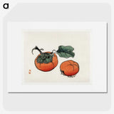 1-19_Bairei-Gakan_picture
