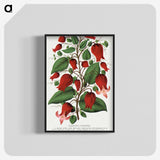 1-19_Botanical-Specimen-Plates_blk-crop