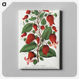 1-19_Botanical-Specimen-Plates_canvas