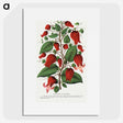 1-19_Botanical-Specimen-Plates_picture