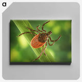 1-19_COVID-19_canvas